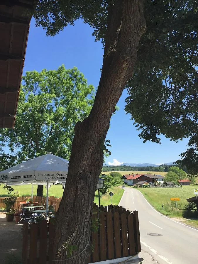 Hotel Alpenblick Riedering 3*,
